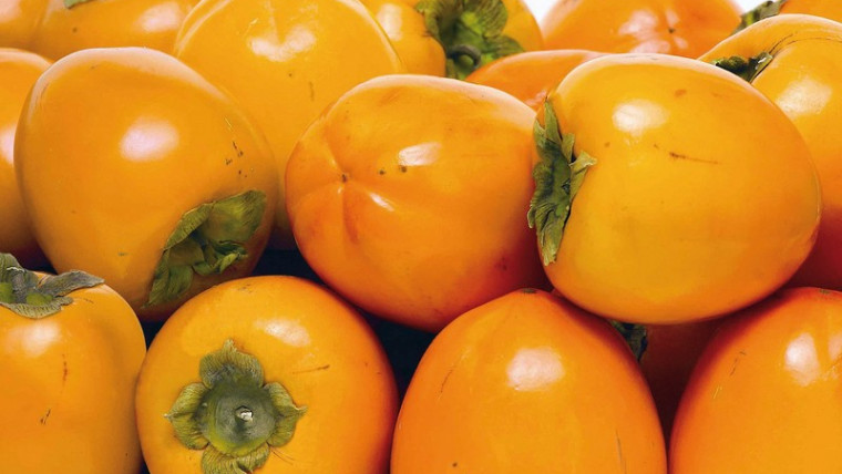 La campaña de caqui, una apuesta consolidada